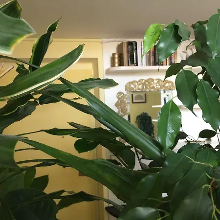 Finestra Su Apartment Genoa