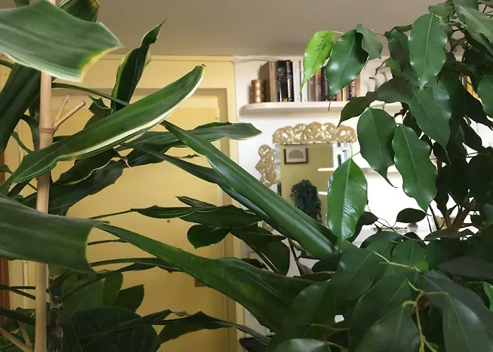 Finestra Su Lägenhet Genua